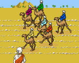 Camel Racer